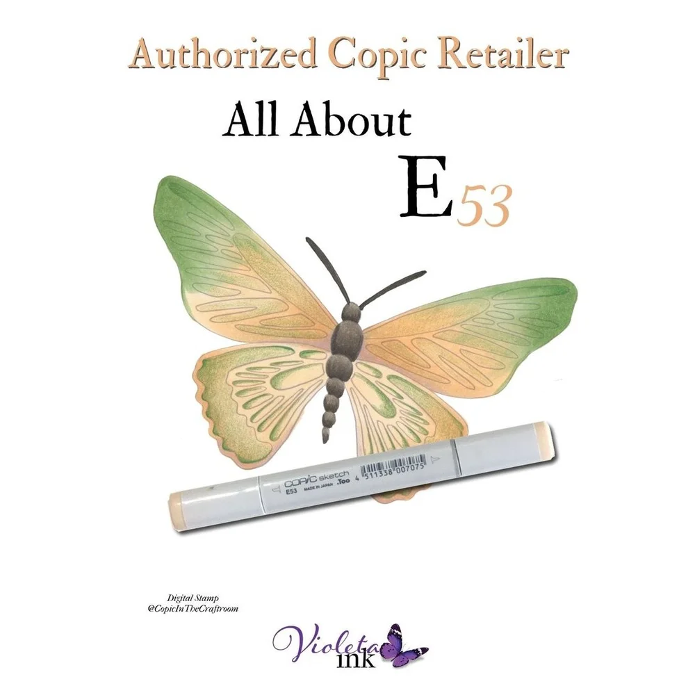 E53 - Copic Sketch Marker Raw Silk — Violeta Ink